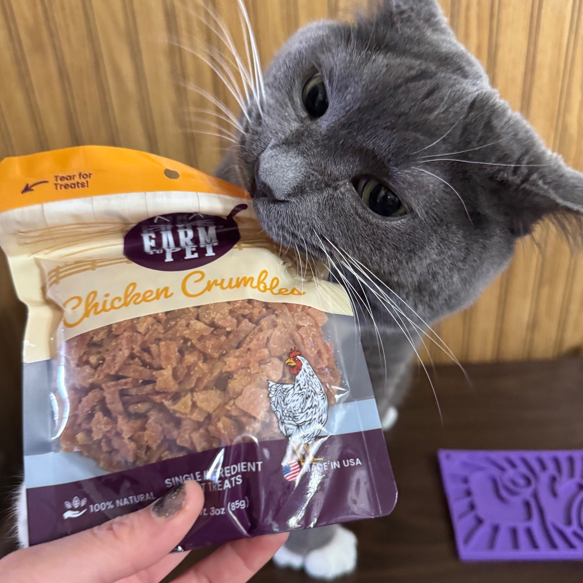 Pet Food & Treats