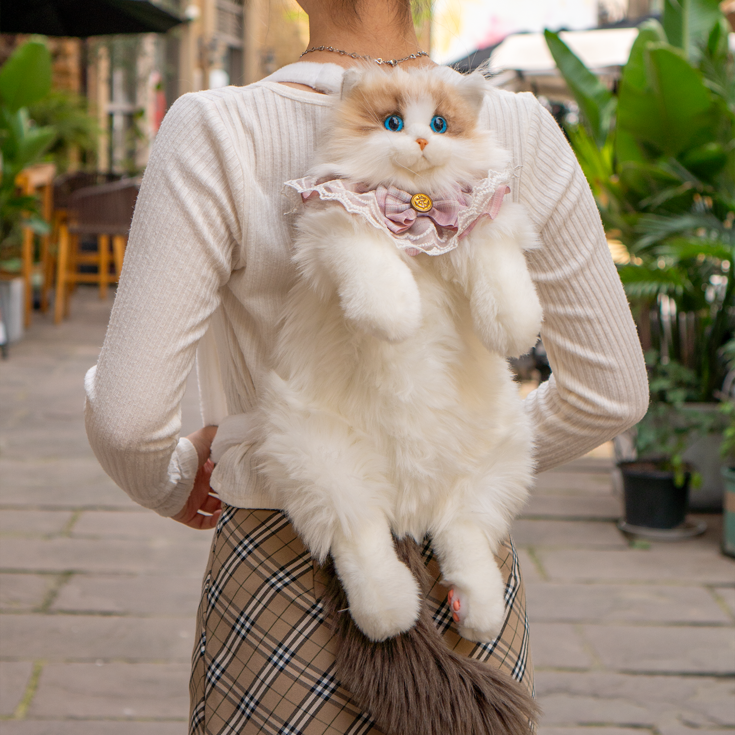 Cat Carriers & Bags