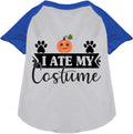 I Ate My Costume Pet Raglan Shirt