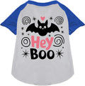 Hey Boo! Pet Raglan Shirt