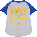 Candy Corn Cutie Pet Raglan Shirt