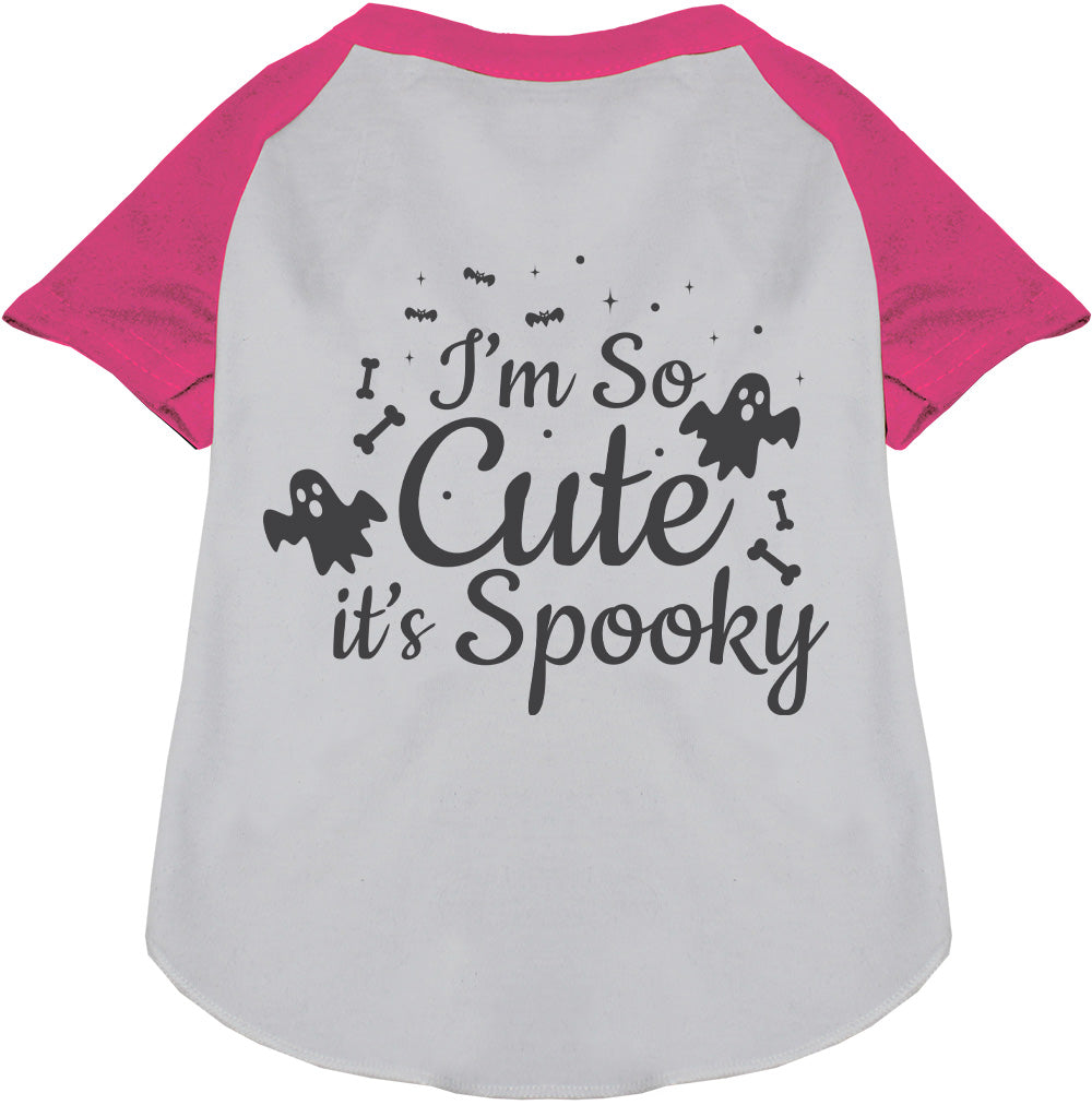 So Cute, It's Spooky Pet Raglan Shirt