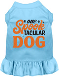 One Spooktacular Dog Pet Dress