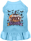 Batty Spooky Season Pet Dress