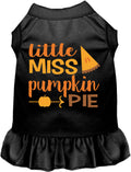 Little Miss Pumpkin Pie Pet Dress