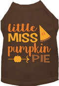 Little Miss Pumpkin Pie Pet Shirt