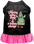 Merry Everything Pet Dress
