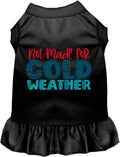 Not Made for Cold Weather Pet Dress