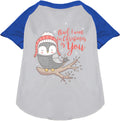 Owl I Want For Christmas Pet Raglan Shirt
