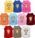 Fun Pizza Cat or Dog Shirt for Pets "Slice of Heaven"