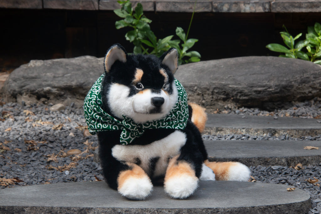 Black Shiba Inu Dog