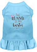 Pet Dress "The Bunny Is My Bestie"