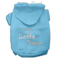 Christmas Pet Hoodie Screen Printed, "I Believe In Santa Paws"