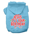 Christmas Pet Hoodie "Go Jesus, It's Your Birthday"