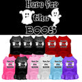 Pet Dress "Here For The Boos"